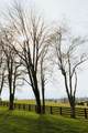 5670 Morehead Road - Photo 85