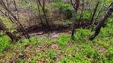 9999 Judd Road - Photo 21