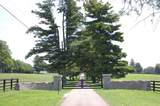 4462 Mount Horeb Pike - Photo 2