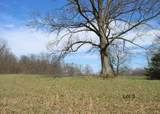 2234 Ky Hwy 1743 - Photo 6
