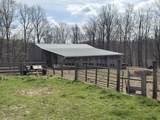 1461 Greasy Ridge Road - Photo 25