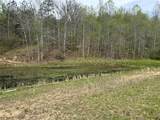 1149 Kelly Branch Road - Photo 6
