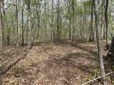 1149 Kelly Branch Road - Photo 85