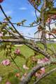 40 Ridge Road - Photo 79