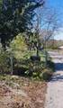 120 Kerrville Lane - Photo 5