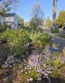 305 Jackson Street - Photo 39