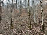 2774 Mosley Bend Road - Photo 4
