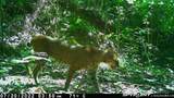 9999 Cabin Creek Road Drive - Photo 15