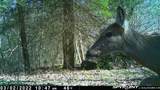 9999 Cabin Creek Road Drive - Photo 16