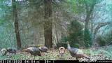 9999 Cabin Creek Road Drive - Photo 17