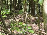 9999 Cabin Creek Road Drive - Photo 25