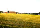 5689 State Highway 290 - Photo 22