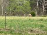 Tract 3 Deer Valley Road - Photo 4