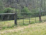 Tract 3 Deer Valley Road - Photo 5