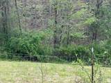 Tract 3 Deer Valley Road - Photo 6