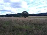 460 Skaggs Road - Photo 2
