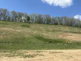 148 Coon Trail - Photo 19