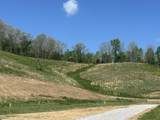 148 Coon Trail - Photo 6