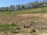 148 Coon Trail - Photo 8