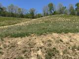 136 Coon Trail - Photo 25