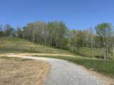 136 Coon Trail - Photo 3