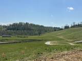 136 Coon Trail - Photo 6