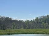 19 Coon Trail - Photo 13