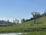 19 Coon Trail - Photo 17