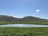 19 Coon Trail - Photo 21