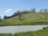 19 Coon Trail - Photo 22