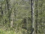 19 Coon Trail - Photo 24
