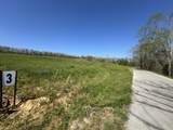 19 Coon Trail - Photo 3