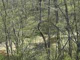 19 Coon Trail - Photo 6