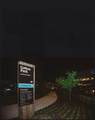 345 Vine Street - Photo 56
