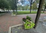 345 Vine Street - Photo 69