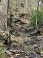 0 Long Branch Road - Photo 11