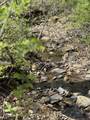 0 Long Branch Road - Photo 12