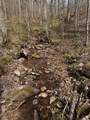 0 Long Branch Road - Photo 14