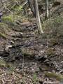 0 Long Branch Road - Photo 15
