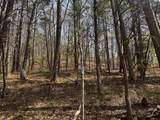 0 Long Branch Road - Photo 4