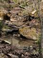 0 Long Branch Road - Photo 8