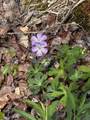 0 Long Branch Road - Photo 9