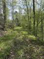 1325 State Hwy 1036 - Photo 4