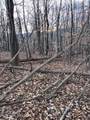 3.31 King Mountain Road - Photo 3
