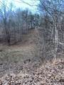 3.31 King Mountain Road - Photo 5