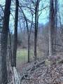 3.31 King Mountain Road - Photo 6