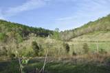 0 Pool Branch - Photo 39