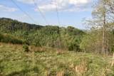 0 Pool Branch - Photo 50