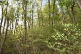 0 Pool Branch - Photo 57