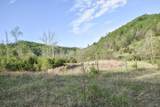 0 Pool Branch - Photo 61